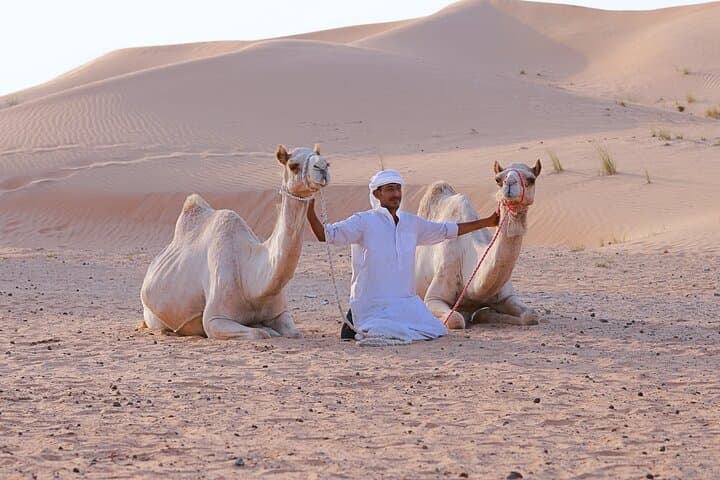 Dubai Desert Camel Safari: 1-Hour Camel Ride with Private Pickup & Drop photo 5