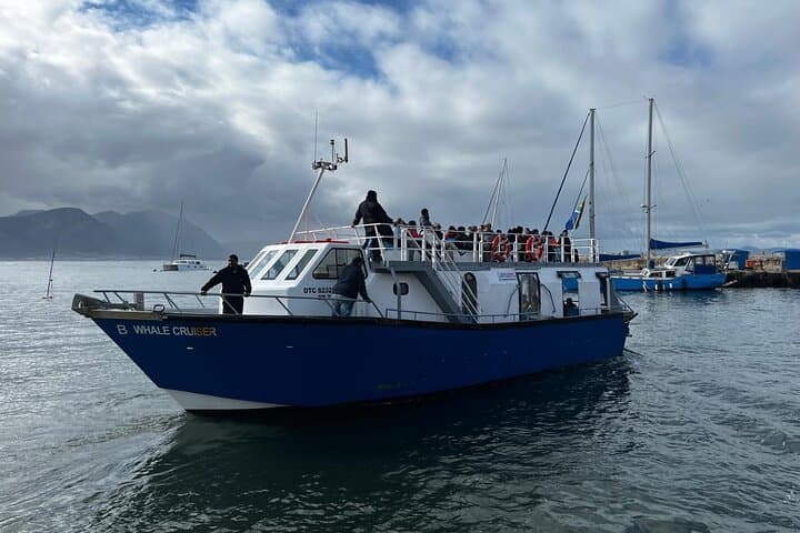 Hermanus Whale Watching and Benguela Wine Tasting: Shoreline-to-Sea Experience photo 2