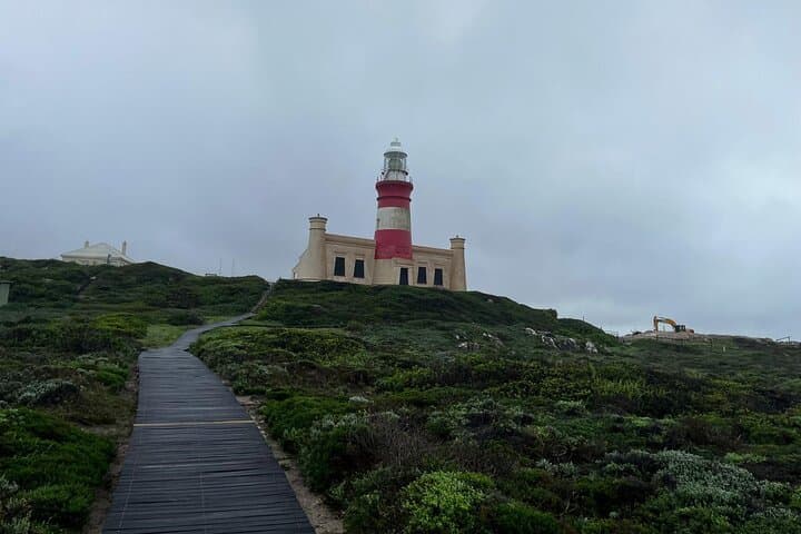 Oceans Meet Penguins: Cape Agulhas, Hermanus & Stony Point Penguin Day Tour photo 3