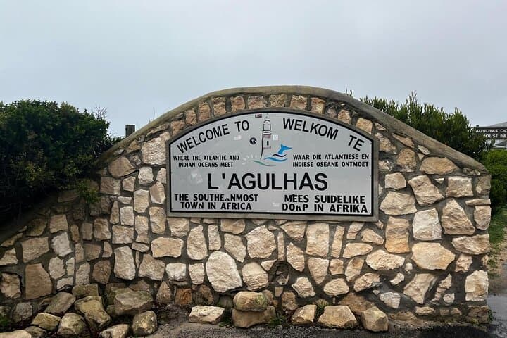 Oceans Meet Penguins: Cape Agulhas, Hermanus & Stony Point Penguin Day Tour photo 5