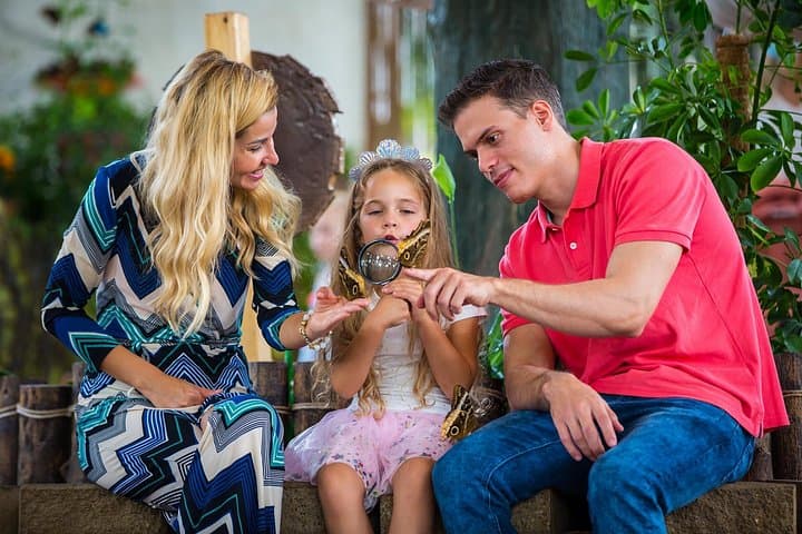 Inside Dubai Butterfly Garden: Walk Among 15,000 Butterflies in Climate-Controlled Domes photo 4