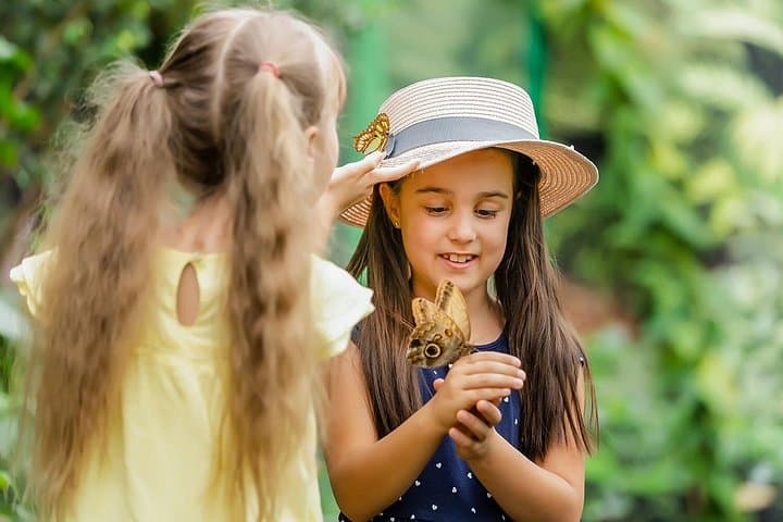Inside Dubai Butterfly Garden: Walk Among 15,000 Butterflies in Climate-Controlled Domes photo 2