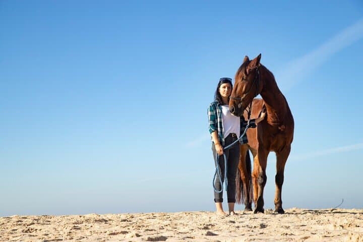 Hammam and Hooves: Turkish Bath & 2-Hour Desert Horseback Ride in Sharm El Sheikh photo 4