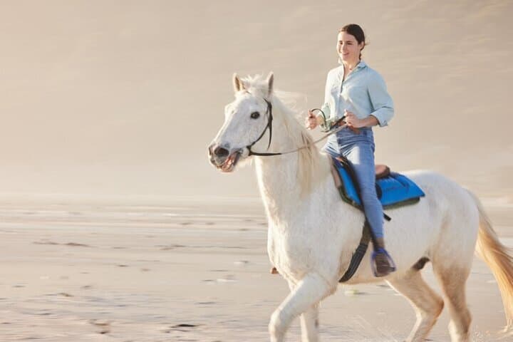 Hammam and Hooves: Turkish Bath & 2-Hour Desert Horseback Ride in Sharm El Sheikh photo 3