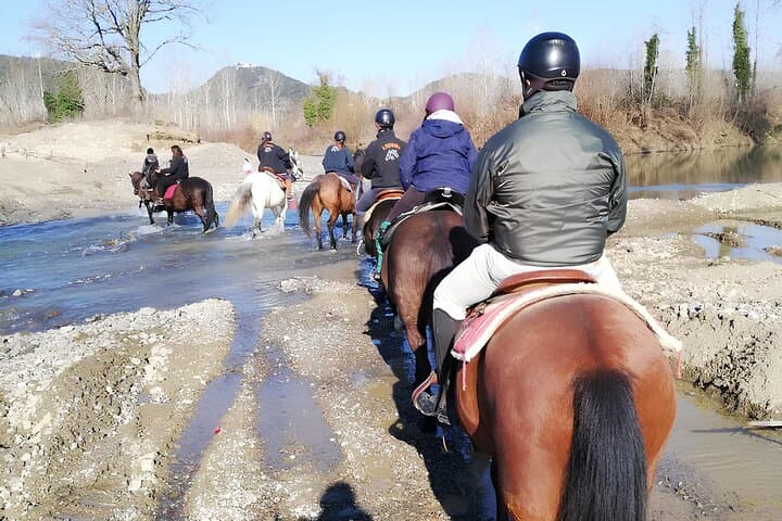 Tuscany Horseback Riding in Buonconvento — Crete Senesi Saddle Tour photo 6