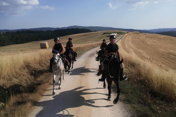 Tuscany Horseback Riding in Buonconvento — Crete Senesi Saddle Tour photo 2