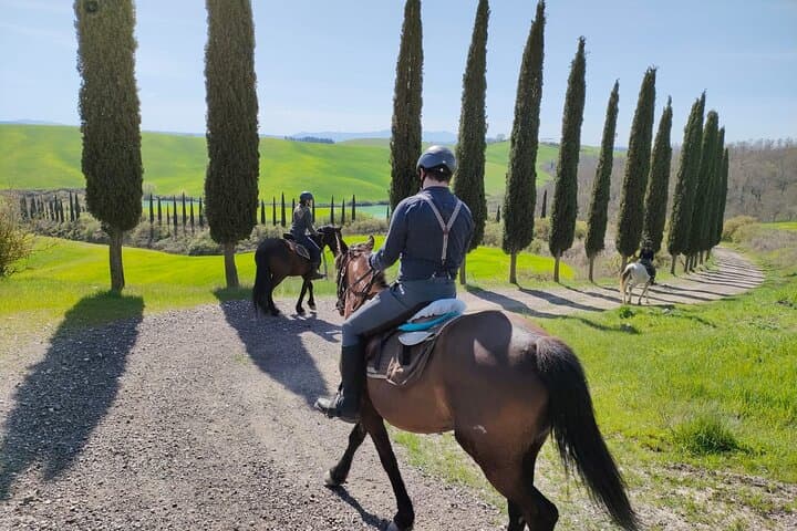 Tuscany Horseback Riding in Buonconvento — Crete Senesi Saddle Tour