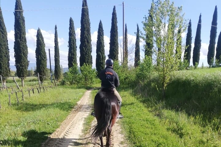 Tuscany Horseback Riding in Buonconvento — Crete Senesi Saddle Tour photo 3