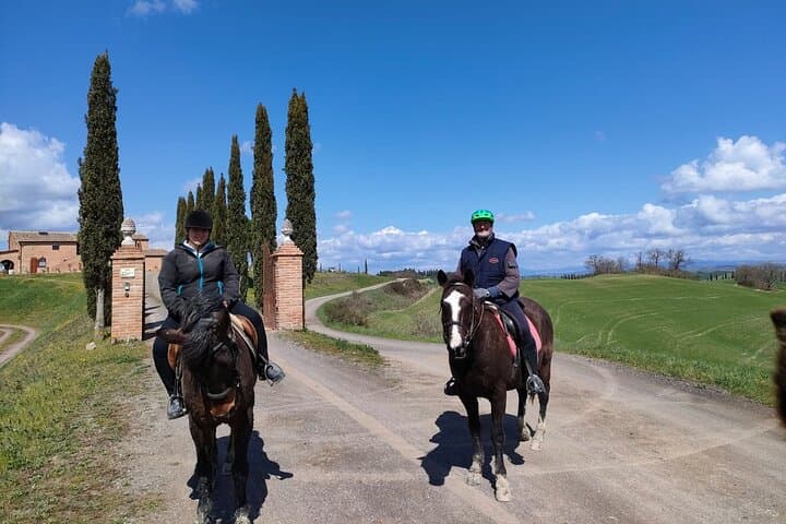 Tuscany Horseback Riding in Buonconvento — Crete Senesi Saddle Tour photo 5