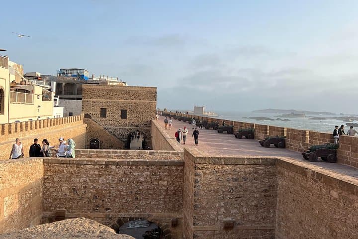 Marrakech to Essaouira Private Day Trip: Coastal Medina, Argan Cooperatives & Surf photo 3