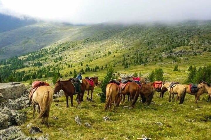 Ride to Khagiin Khar: 4-Day Horseback Journey to Mongolia's Black Lake