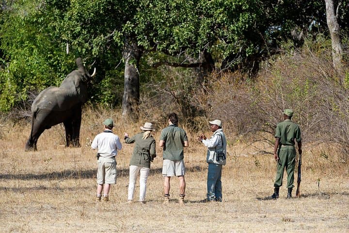 Rhino Game Drive at Mosi-oa-Tunya National Park — Close Encounters from Livingstone photo 4