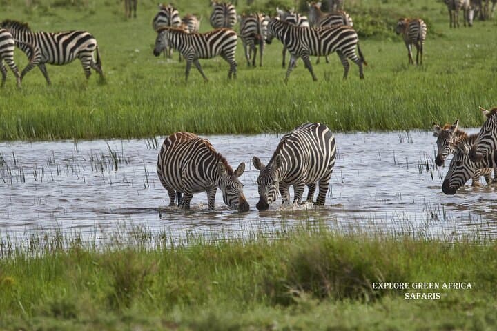 3-Day Serengeti & Ngorongoro Safari: Big Five, Crater Drives & Camping photo 5