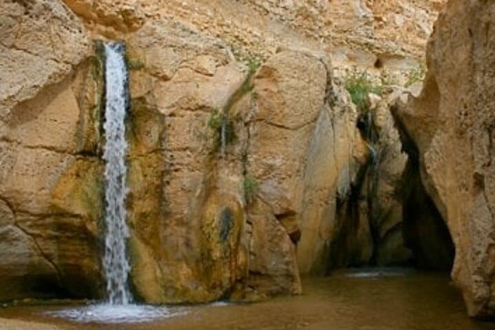 4x4 Southern Tunisia Oasis & Star Wars Desert Adventure photo 2