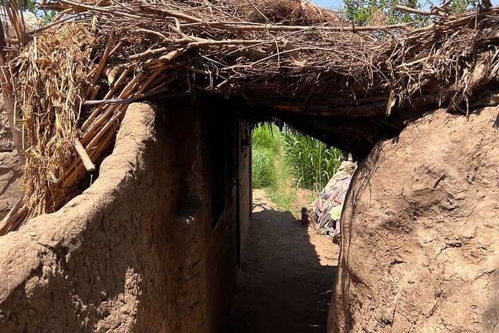 2-Day Nile Island Village Stay: Authentic Egyptian Farm Life photo 4