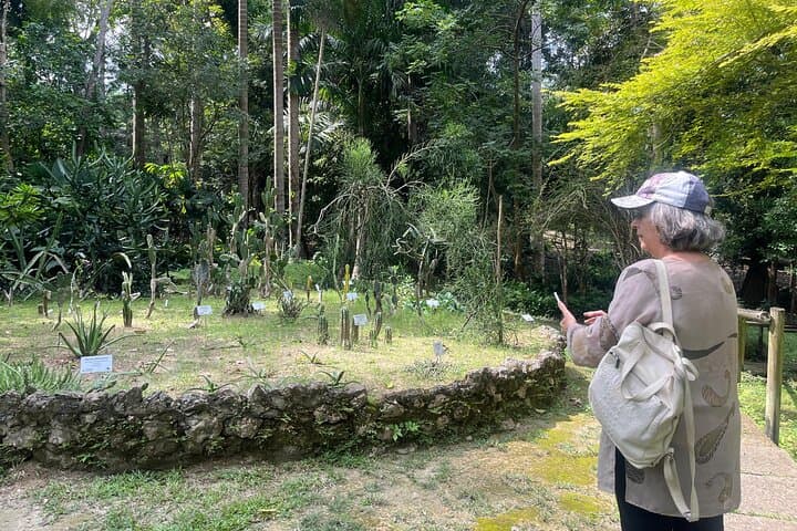 Turbaco Botanical Garden & Cultural Day Trip from Cartagena
