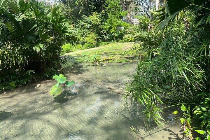 Turbaco Botanical Garden & Cultural Day Trip from Cartagena photo 4