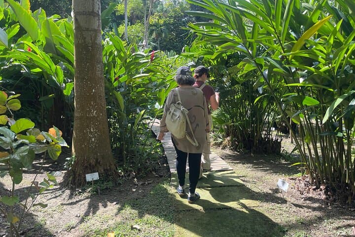 Turbaco Botanical Garden & Cultural Day Trip from Cartagena photo 6