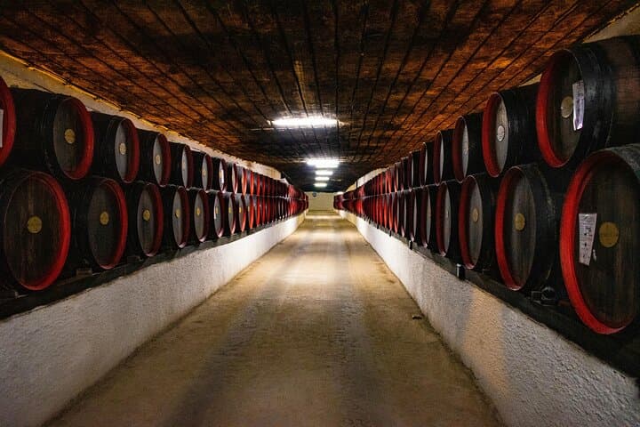 Crama Rasova Winery Wine Tasting & Danube Views from Vifor Hill photo 4