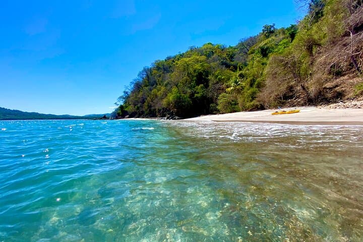 Paddling Curú: A Guided Kayak Tour Through Mangroves and Bay Life photo 2