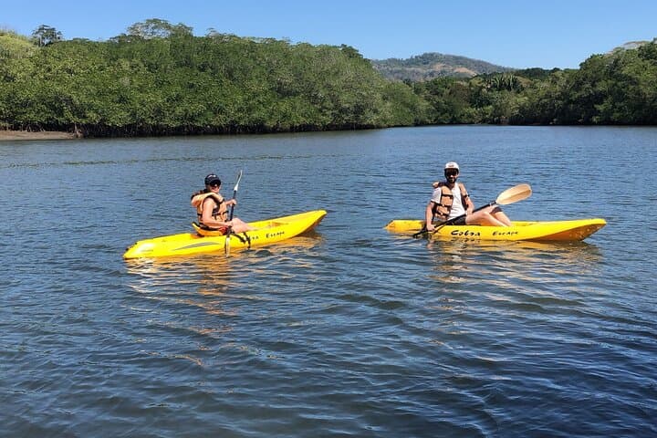 Paddling Curú: A Guided Kayak Tour Through Mangroves and Bay Life