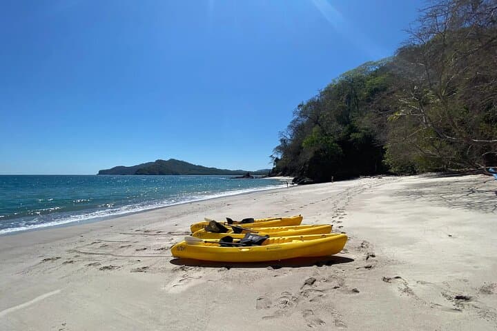 Paddling Curú: A Guided Kayak Tour Through Mangroves and Bay Life photo 6