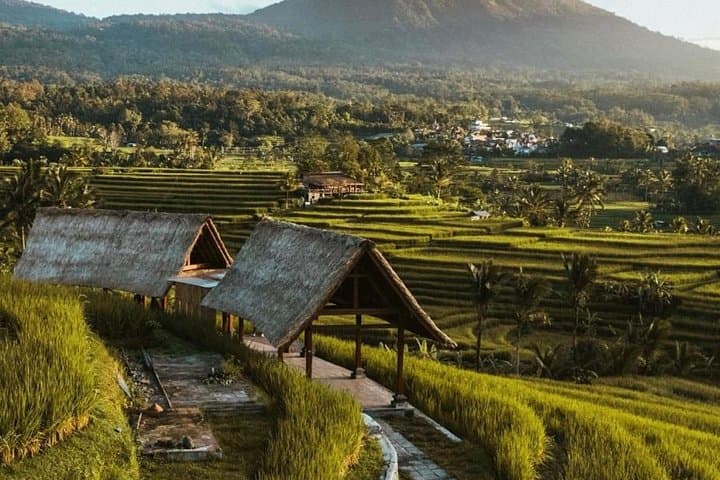 Full-Day Danu Beratan & Jatiluwih: Bedugul Temples, Rice Terraces and Waterfall Tour photo 2