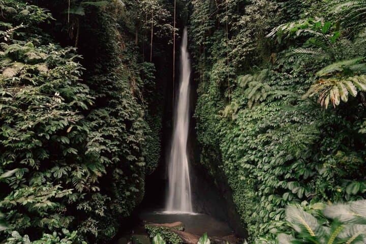 Full-Day Danu Beratan & Jatiluwih: Bedugul Temples, Rice Terraces and Waterfall Tour photo 3