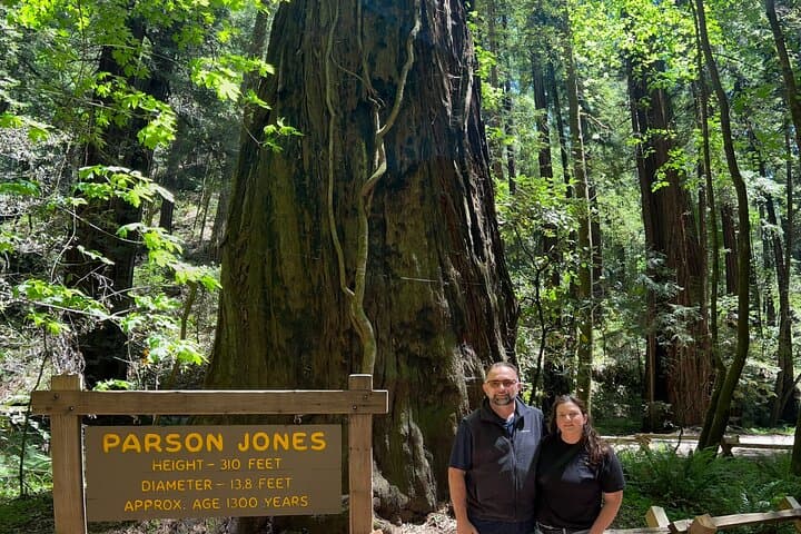 Napa & Sonoma Wine Pairing and Redwoods Day Tour
