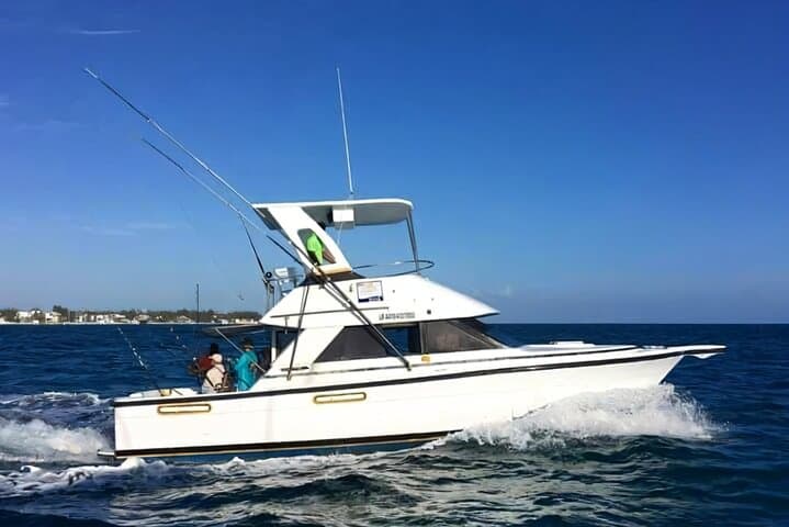 Punta Cana Private Deep-Sea Fishing Charter (Alondra) — Half-Day