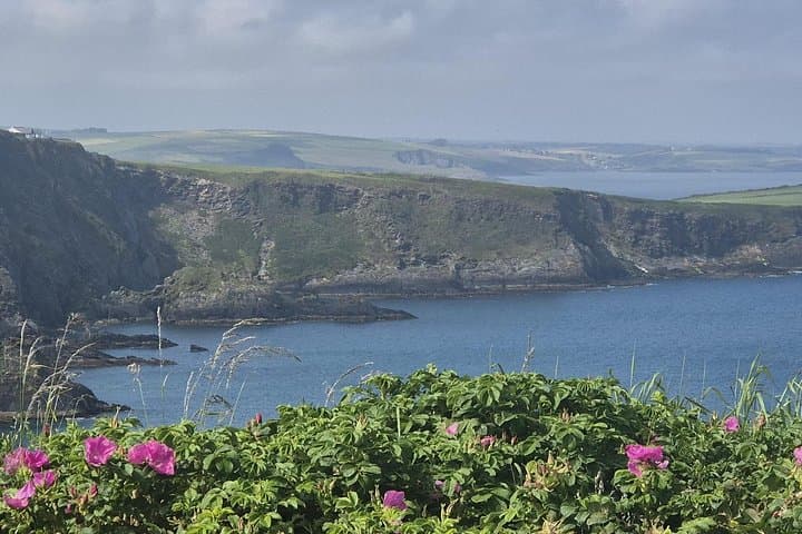 Private Luxury Day Tour from Cork: Blarney Castle, Cobh & Kinsale in One Day photo 5