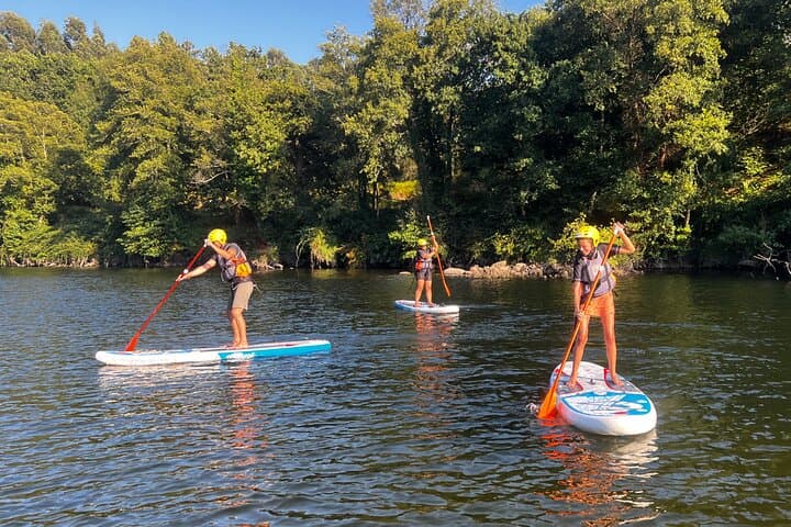 Stand‑Up Paddle the Lima River: Calm SUP Tour through the Ponte de Lima Valley photo 4