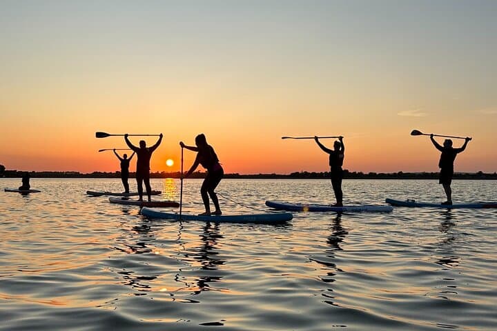 Sunset SUP on Malahide Estuary: Evening Paddle with Wildlife photo 5