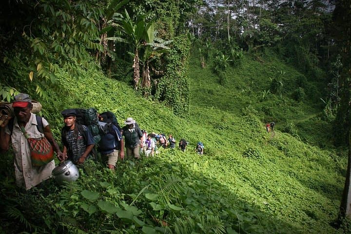 Kokoda Track 11-Day Trek: WWII History, Village Life & Owen Stanley Ranges