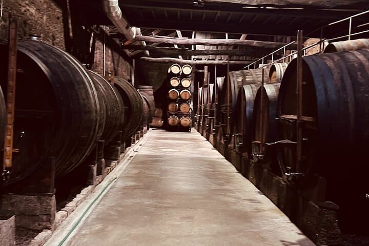 Douro Valley Private Historic Tour with Vineyard Lunch and Douro River Cruise photo 3