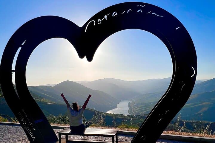 Douro Valley Private Historic Tour with Vineyard Lunch and Douro River Cruise