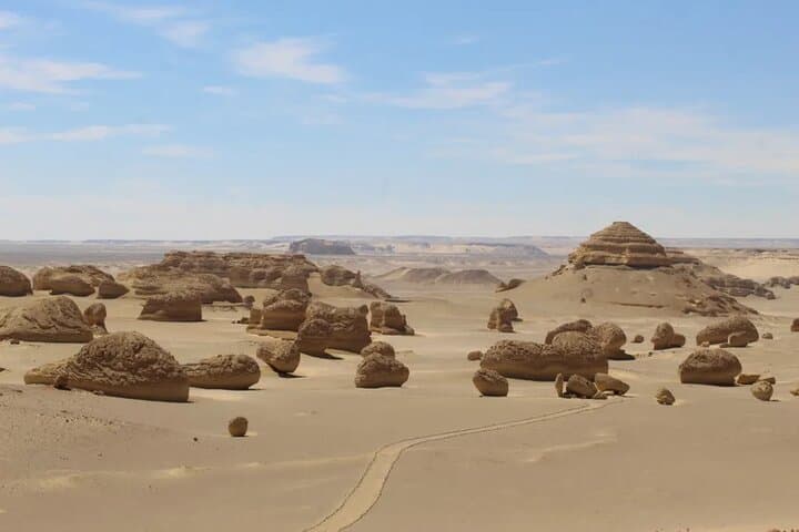 Fayoum Oasis Journey: Wadi El Rayan, Sand Dunes & Whale Valley photo 5