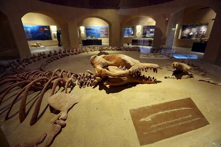 Fayoum Oasis Journey: Wadi El Rayan, Sand Dunes & Whale Valley