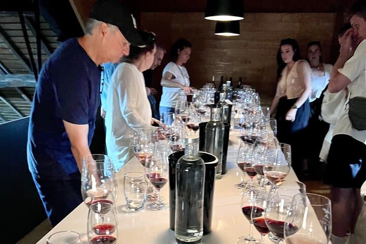 Douro Valley Private Historic Tour with Vineyard Lunch and Douro River Cruise photo 5