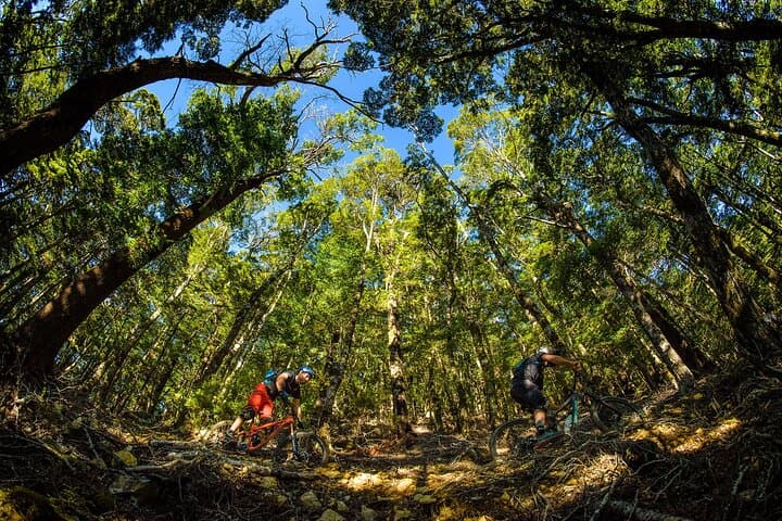 Nelson 3-Day Shuttle MTB Weekend — Wairoa Gorge, Cable Bay & Fringed Hill photo 2