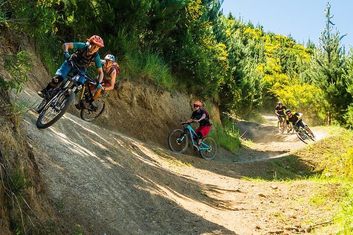 Nelson 3-Day Shuttle MTB Weekend — Wairoa Gorge, Cable Bay & Fringed Hill photo 3