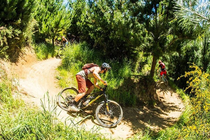 Nelson 3-Day Shuttle MTB Weekend — Wairoa Gorge, Cable Bay & Fringed Hill photo 4