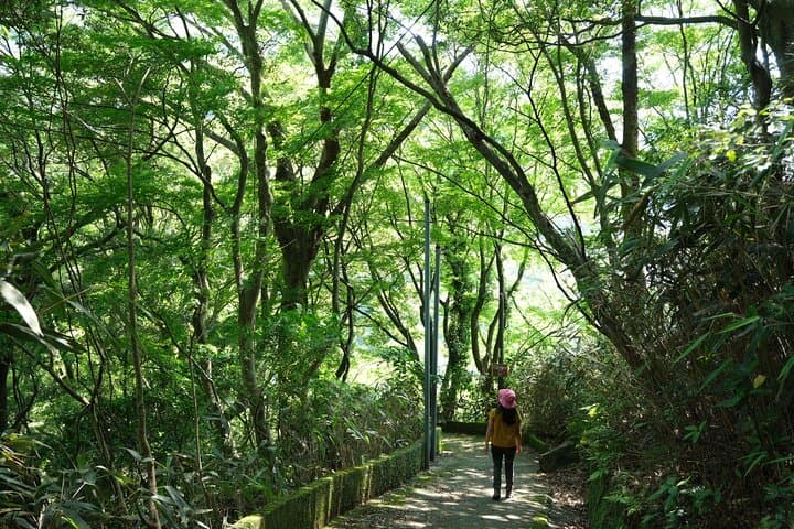 Hakone Valley Hike: Forest Bathing & 100-Year Wagashi Shop (Half-day) photo 2