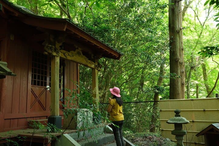 Hakone Valley Hike: Forest Bathing & 100-Year Wagashi Shop (Half-day) photo 5
