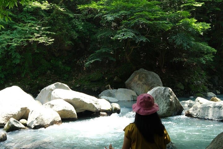 Hakone Valley Hike: Forest Bathing & 100-Year Wagashi Shop (Half-day) photo 6