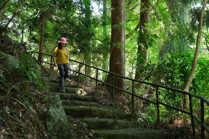 Hakone Valley Hike: Forest Bathing & 100-Year Wagashi Shop (Half-day) photo 3