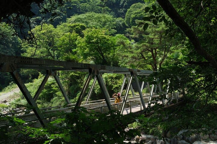 Hakone Valley Hike: Forest Bathing & 100-Year Wagashi Shop (Half-day) photo 4