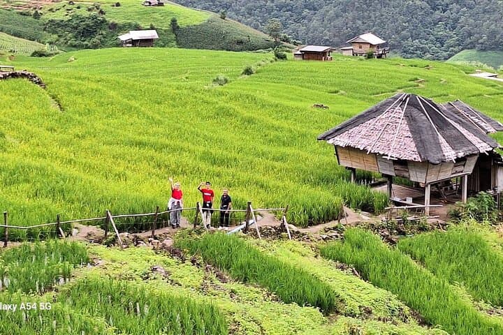 Pa Pong Piang Rice Terraces & Doi Inthanon Day Trip from Chiang Mai photo 3