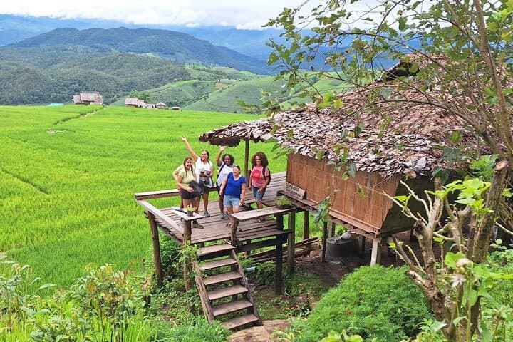 Pa Pong Piang Rice Terraces & Doi Inthanon Day Trip from Chiang Mai photo 2