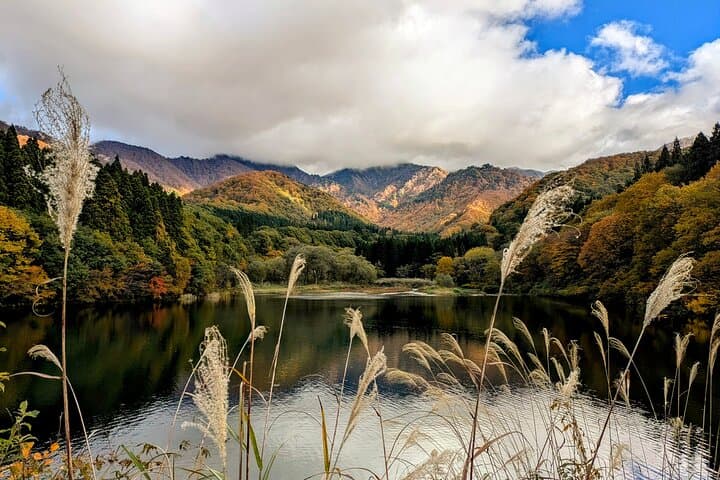 E-Bike Yuzawa: Lake Daigenta, Rice Terraces & Mountain Views